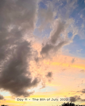 Load image into Gallery viewer, Day 11• The 8th of July