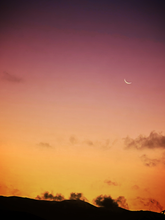 Load image into Gallery viewer, Day 177 • The 21st of December