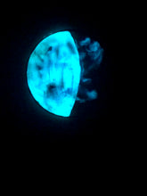 Load image into Gallery viewer, The Many Moons Project . June 29th, 2021