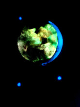 Load image into Gallery viewer, The Many Moons Project . July 13th, 2021