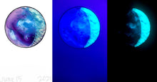 Load image into Gallery viewer, The Many Moons Project . June 15th, 2021
