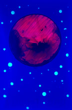 Load image into Gallery viewer, The Many Moons Project . August 7th, 2021