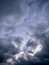 Load image into Gallery viewer, Day 218 • The 31st of January, 2023