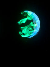 Load image into Gallery viewer, The Many Moons Project . August 12th, 2021