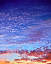 Load image into Gallery viewer, Day 76 • The 11th of September