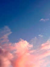 Load image into Gallery viewer, Day 146 • The 20th of November