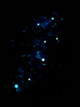 Load image into Gallery viewer, Find Your Destiny - Original Light Reactive Star Map