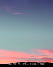 Load image into Gallery viewer, Day 114 • The 19th of October