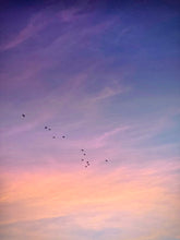 Load image into Gallery viewer, Day 50 • The 16th of August
