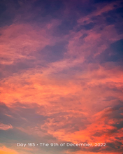 Load image into Gallery viewer, Day 165 • The 9th of December