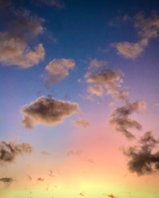 Load image into Gallery viewer, Day 36 • The 2nd of August