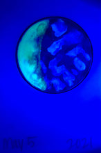 Load image into Gallery viewer, The Many Moons Project . May 5th, 2021