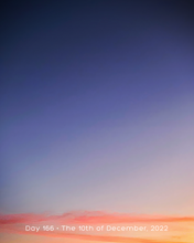 Load image into Gallery viewer, Day 166 • The 10th of December