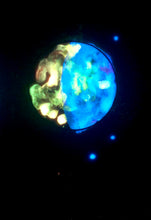 Load image into Gallery viewer, The Many Moons Project . July 18th, 2021