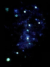 Load image into Gallery viewer, The Little Bear (A star map study)