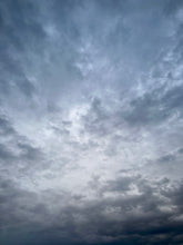 Load image into Gallery viewer, Day 172 • The 16th of December