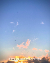Load image into Gallery viewer, Day 8 • The 5th of July
