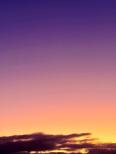Load image into Gallery viewer, Day 48 • The 14th of August