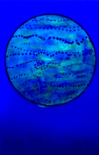 Load image into Gallery viewer, The Many Moons Project . May 27th, 2021