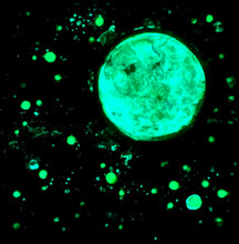 Load image into Gallery viewer, Starry Eyed