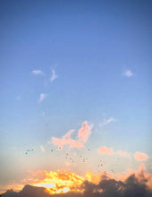Load image into Gallery viewer, Day 8 • The 5th of July