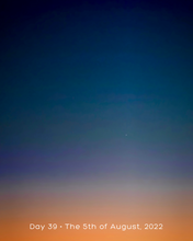 Load image into Gallery viewer, Day 39 • The 5th of August