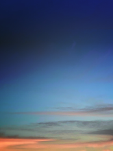 Load image into Gallery viewer, Day 161 • The 5th of December