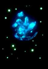 Load image into Gallery viewer, The Many Moons Project . July 9th, 2021