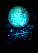 Load image into Gallery viewer, Tropical Midnight