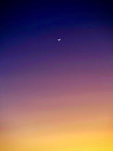 Load image into Gallery viewer, Day 87 • The 22nd of September