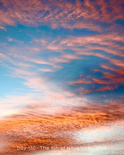 Load image into Gallery viewer, Day 130 • The 4th of November