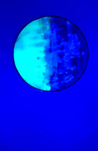 Load image into Gallery viewer, The Many Moons Project . June 1st, 2021