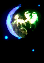 Load image into Gallery viewer, The Many Moons Project . August 5th, 2021