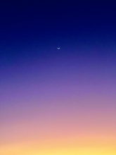 Load image into Gallery viewer, Day 58• The 24th of August