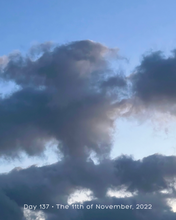 Load image into Gallery viewer, Day 137 • The 11th of November