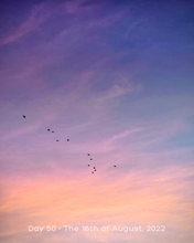 Load image into Gallery viewer, Day 50 • The 16th of August