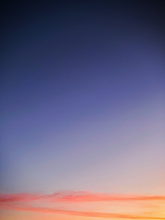 Load image into Gallery viewer, Day 166 • The 10th of December