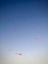Load image into Gallery viewer, Day 169 • The 13th of December