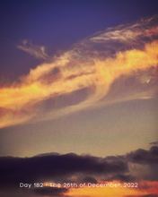 Load image into Gallery viewer, Day 182 • The 26th of December