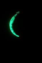 Load image into Gallery viewer, The Many Moons Project . June 7th, 2021