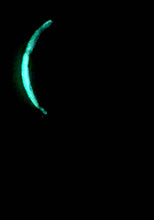 Load image into Gallery viewer, The Many Moons Project . April 10th, 2021