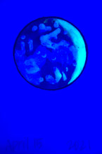 Load image into Gallery viewer, The Many Moons Project . April 15th, 2021