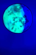 Load image into Gallery viewer, The Many Moons Project . April 1st, 2021