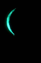 Load image into Gallery viewer, The Many Moons Project . April 8th, 2021