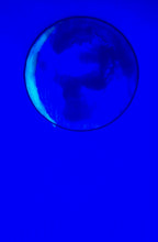 Load image into Gallery viewer, The Many Moons Project . April 8th, 2021