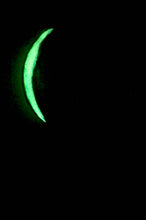 Load image into Gallery viewer, The Many Moons Project . April 9th, 2021