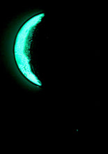 Load image into Gallery viewer, The Many Moons Project . December 10th, 2020