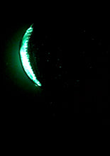Load image into Gallery viewer, The Many Moons Project . December 12th, 2020