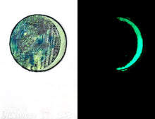Load image into Gallery viewer, The Many Moons Project . December 17th, 2020