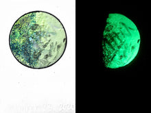 Load image into Gallery viewer, The Many Moons Project . December 23rd, 2020